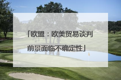 欧盟：欧美贸易谈判前景面临不确定性
